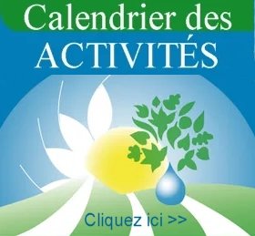 calendrier bloc accueil