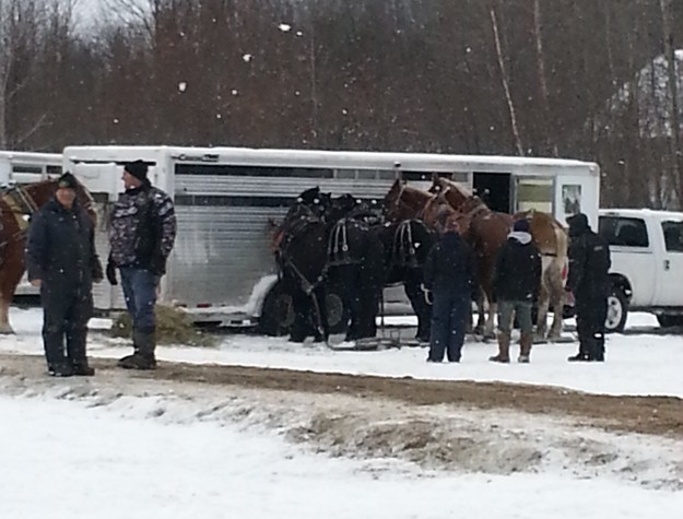 Festi-neige 2015