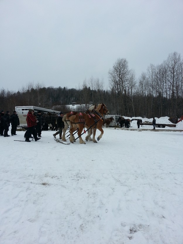 Festi-neige 2015